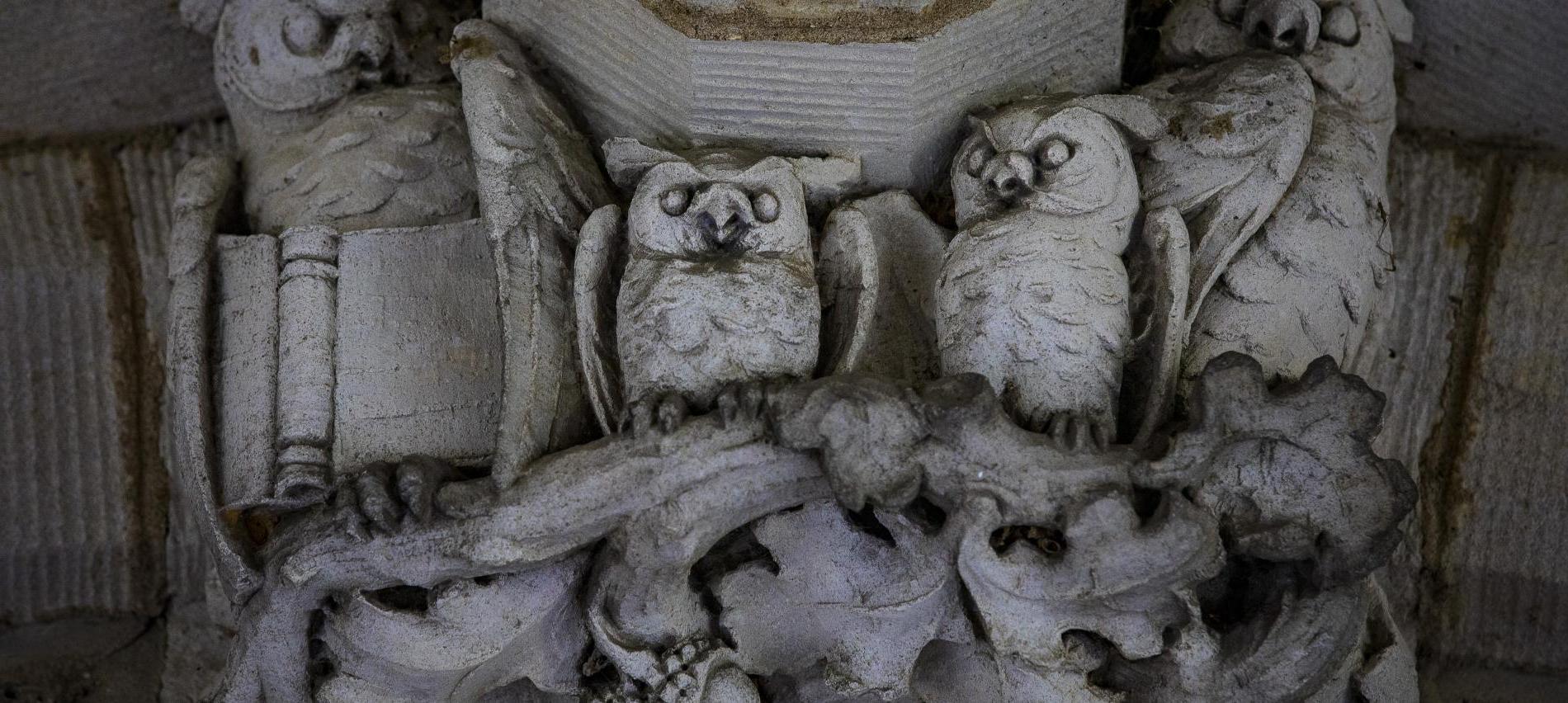 owl ornamentation on building
